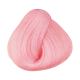 Suavecita Muse VEGAN Hair Color