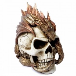 The Vault Dragon Keeper's Skull 