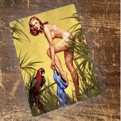 Pinup Girl Forest Parrot Metal Sign