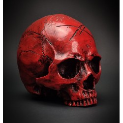 Hyraw Red Spirit Skull