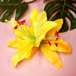 Paloma Double Lily Yellow