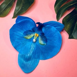 Cellia Blue Orchid