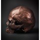 Hyraw Dark Copper Skull