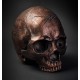 Hyraw Dark Copper Skull