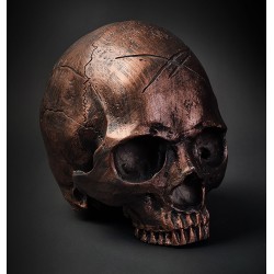 Hyraw Dark Copper Skull