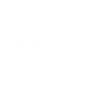 Kent Brushes